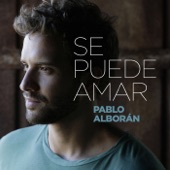 Se puede amar artwork