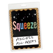 Access All Areas: Squeeze Live (Audio Version)