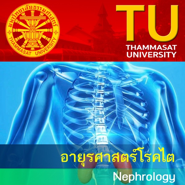 MD592 : อายุรศาสตร์โรคไต cover