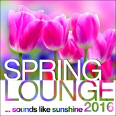 Spring Lounge 2016 - Sounds Like Sunshine artwork