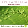 Sons da Natureza e Relaxamento: 101 Relaxamento Musicas de Fundo, Meditação, Musicas para Meditar, Musicas para Dormir, Musicoterapia, Joga, Massagens Relaxantes e Serenidade