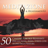 Meditazione e Rilassamento - 50 Canzoni New Age Rilassanti per la Calma, Ansia e Stress con Suoni della Natura - Various Artists