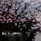 Big in Japan (Ivan Spell Remix) - Ane Brun lyrics