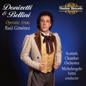 Donizetti & Bellini: Operatic Arias artwork