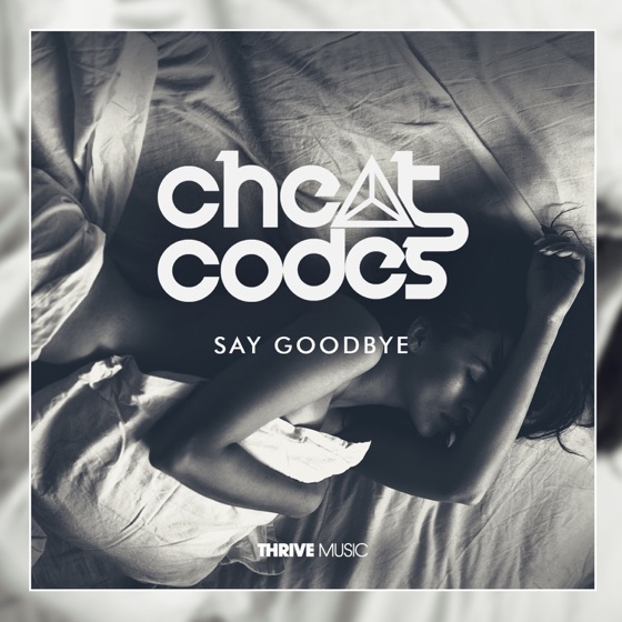 Cover artwork for Say Goodbye