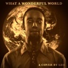 What a Wonderful World (Cover) - Single