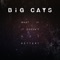 What If It Doesn't Get Better? (feat. Lydia Liza) - Big Cats! lyrics