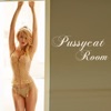 Pussycat Room – Sexual Healing Chill Lounge Party Music Relax Love Collection