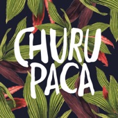 Churupaca artwork