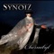 The Reckoning - Synoiz lyrics