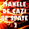 Manele De Cazi Pe Spate, Vol. 2, 2016