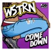 Come Down - Single