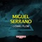 Cosmic Flow (Charlie Brown Remix) - Miguel Serrano lyrics