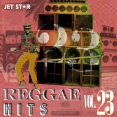 Reggae Hits, Vol. 23 artwork