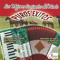 Various Artists - Los Mejores Conjuntos del Norte (Puros Exitos) artwork