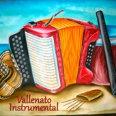Vallenato Instrumental artwork