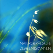 Naturgeräusche zum Entspannen - Musik zur Entspannung und Meditation mit Klänge der Natur als Einschlafhilfe - Entspannung Natur Guru