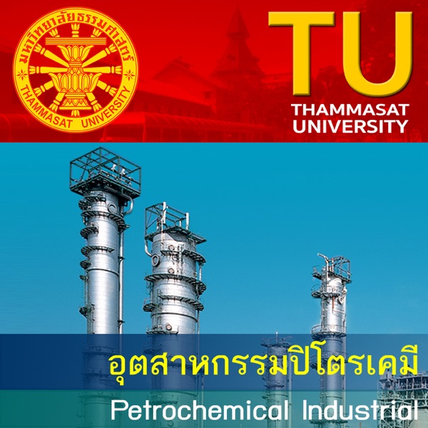 AE359 : อุตสาหกรรมปิโตรเคมี cover
