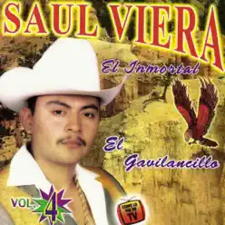 El Inmortal, Vol.4 - Saul Viera