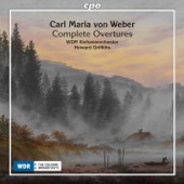 Peter Schmoll und seine Nachbarn, Op. 8, J. 54: Overture artwork