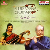 Various Artists - Flute Veena Guitar artwork