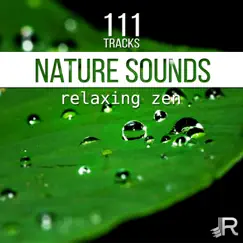 Nature Sounds (Piano & Birds) Song Lyrics