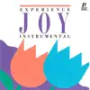 Joy: Instrumental by Interludes album lyrics, reviews, download