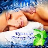111 Tracks: Over Five Hours Relaxation Therapy Music for Massage, Spa, Meditation, Reiki, Yoga, Sleep and Study, Zen New Age & Healing Nature Sounds artwork