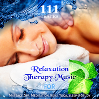 Various Artists - 111 Tracks: Over Five Hours Relaxation Therapy Music for Massage, Spa, Meditation, Reiki, Yoga, Sleep and Study, Zen New Age & Healing Nature Sounds artwork