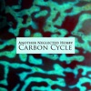 Carbon Cycle