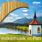Volksmusik in Pan (Instrumental) [feat. Martin Cech] artwork