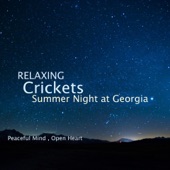 Acerting Art - Sleep Music, Relaxation Nature Sounds, Cricket Summer Night