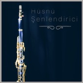 Husnu Senlendirici - Ciftetelli