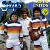 Los Shapis - Rosa en Botón