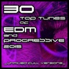 30 Top Tunes of EDM & Progressive 2015