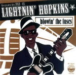 Lightnin' Hopkins - Shaggy Dog