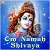 Om Namah Shivaya