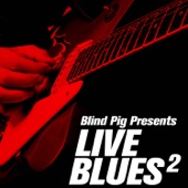 Blind Pig Presents: Live Blues 2 artwork