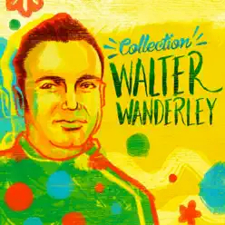 Collection - Walter Wanderley