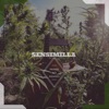 Sensimilla - Single