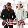 Promise Me (feat. Darius Jay) - Single album lyrics, reviews, download