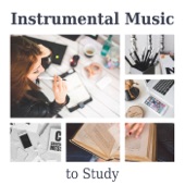 Instrumental Music to Study - Focus Music for Deep Concentration, Brain Power with Classics artwork
