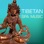 Tibetan Spa Music - Silver Bells and Sounds of Nature, Tibet & Asian Traditional Songs