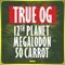 True OG - 12th Planet, Megalodon & 50 Carrot lyrics