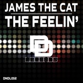 James The Cat - The Feelin'