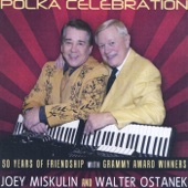 Walter Ostanek & Joey Miskulin - My Favorite Polka