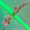 Never Be Like You (feat. Kai) [Disclosure Remix] - Single album lyrics, reviews, download