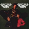 The Jimi Hendrix Experience - Are You Experienced?