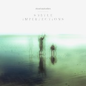 Subtle Imperfections artwork