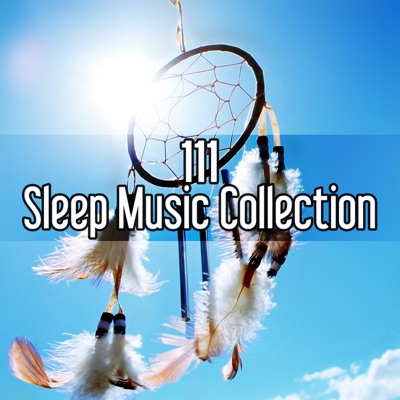 Soft Background Music to Read - Deep Sleep Music Ensemble | Shazam